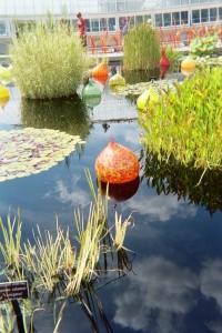 pond chihuly